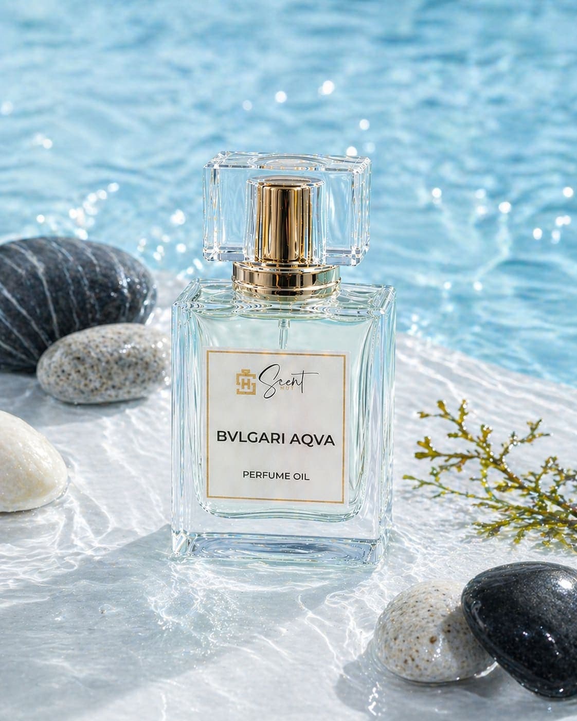 Bvlgari Aqva by Bvlgari